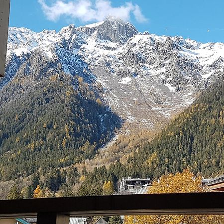 Vue Magique En Hypercentre Avec Parking Privatif Chamonix Mont Blanc Exterior foto